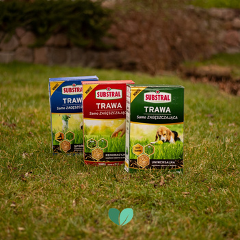 SUBSTRAL Trawa Samo Zagęszczająca Uniwersalna 1kg