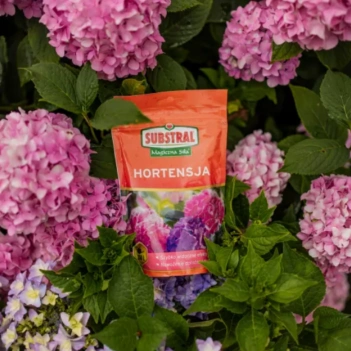 SUBSTRAL Nawóz Magiczna Siła do Hortensji 350g