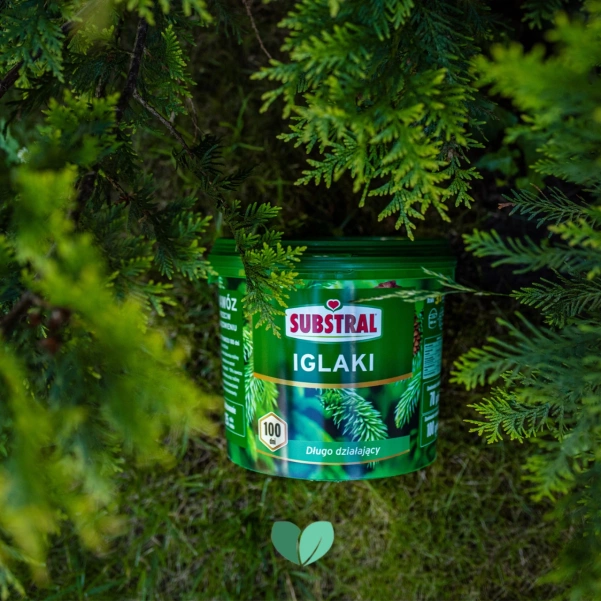 SUBSTRAL Nawóz do Iglaków 100 dni 10kg