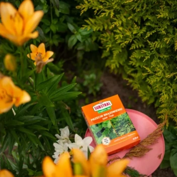 SUBSTRAL Nawóz Magiczna Siła Przeciw Brązowieniu Igieł 1kg