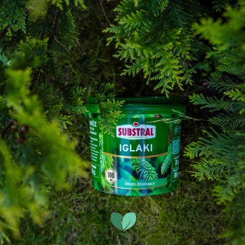 SUBSTRAL Nawóz do Iglaków 100 dni 5kg