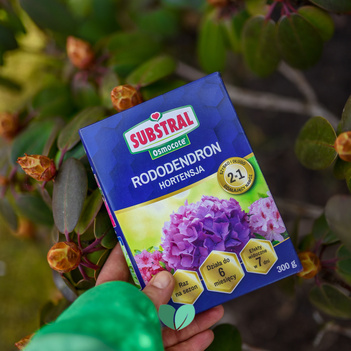 SUBSTRAL Nawóz Osmocote do Rododendronów i Hortensji 2w1