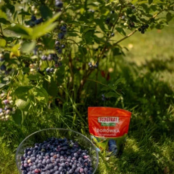 SUBSTRAL Nawóz Magiczna Siła do Borówki Amerykańskiej 350g